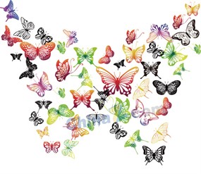 缤纷蝴蝶拼接图片